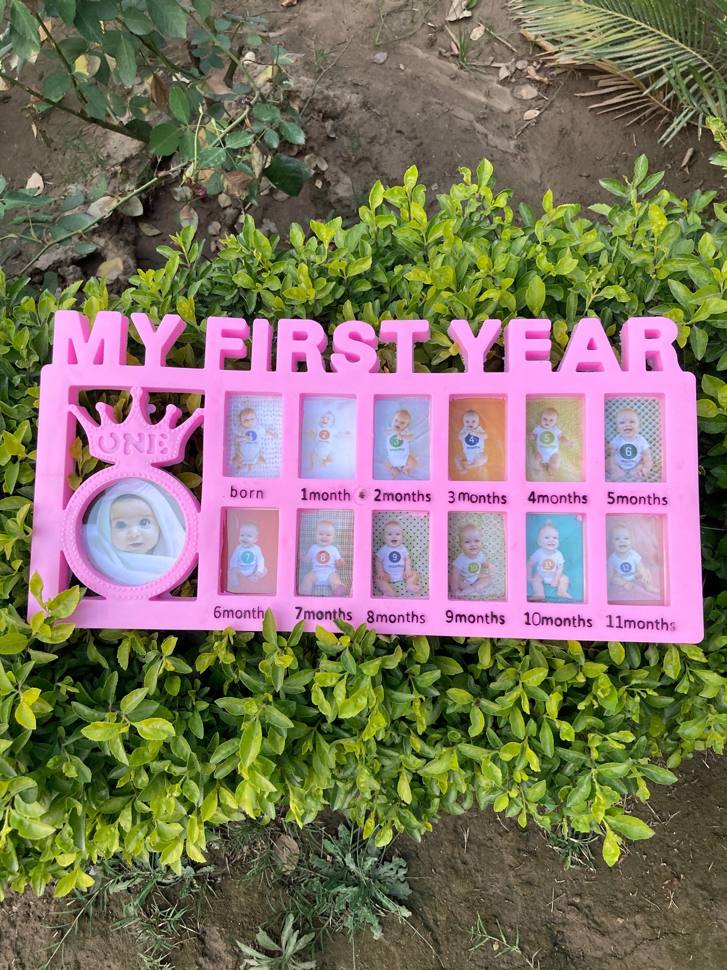 Baby Photo Frame - My First Year